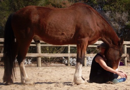 Wesson and Sarah (1).jpg